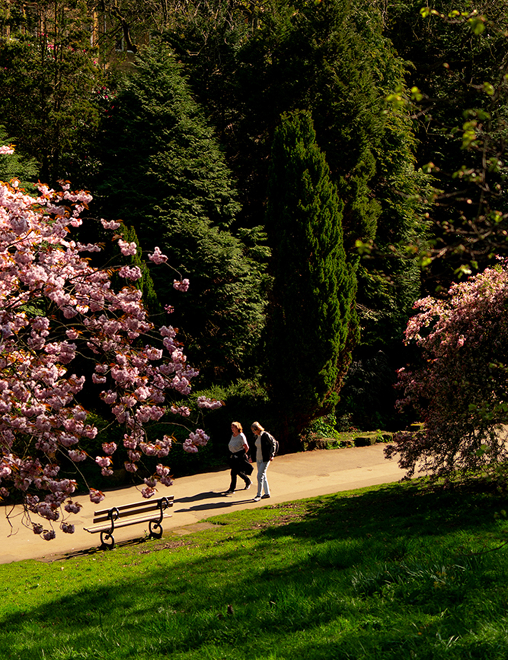 Park Image